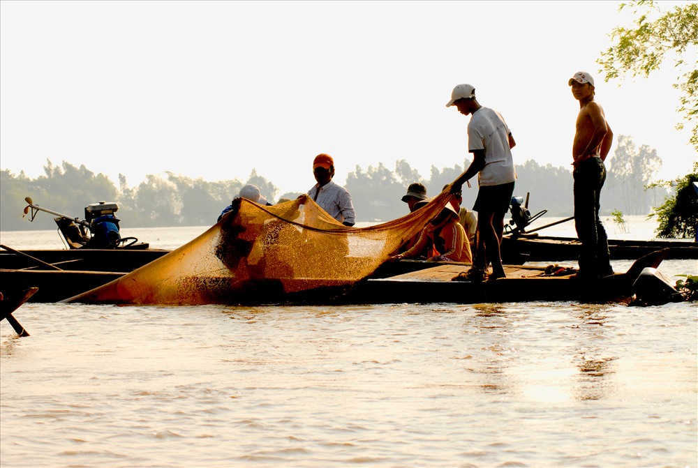 Đánh bắt cá bằng phương tiện đáy. Ảnh: LT