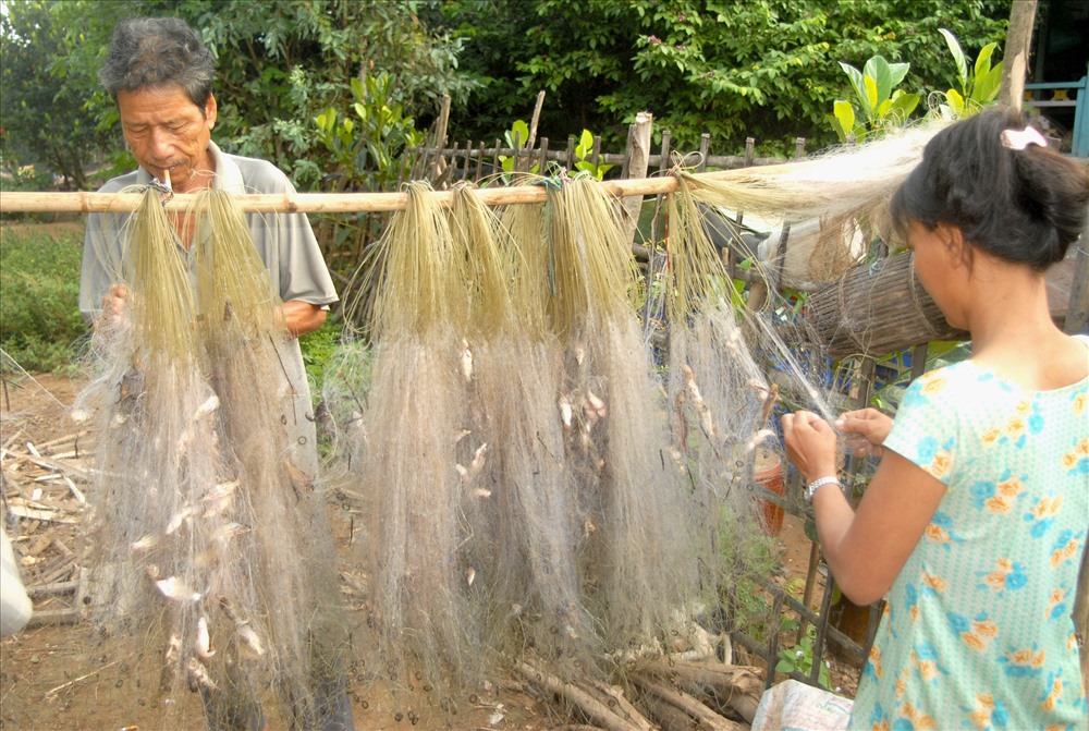 Thu hoạch cá linh bằng giăng lưới. Ảnh: LT