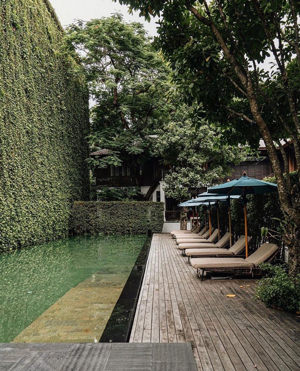 Dù nằm khá gần trung tâm thành phố Chiang Mai, khách sạn này vẫn mang một bầu không khí tĩnh lặng, gần gũi với thiên nhiên hoang sơ. Toàn bộ khuôn viên nơi đây đều nằm gói gọn trong những hàng cây xanh mát và các khu vườn xinh đẹp.