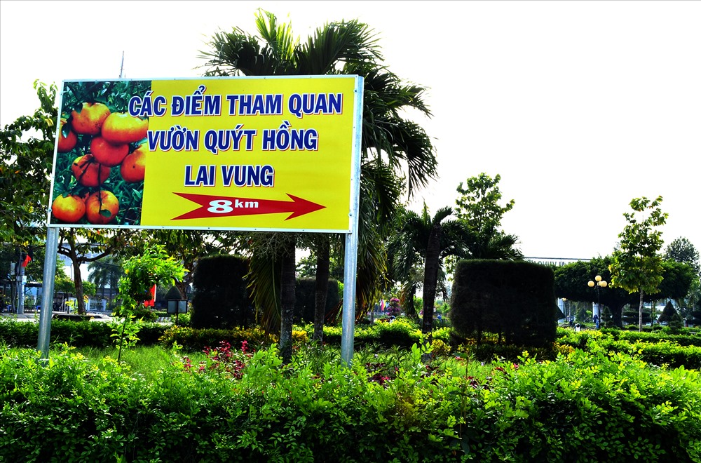 Lai Vung- thủ phủ quýt hồng- là nơi chôn nhau cắt rốn của Anh hùng Nguyễn Văn Bảy. Ảnh: Lục Tùng
