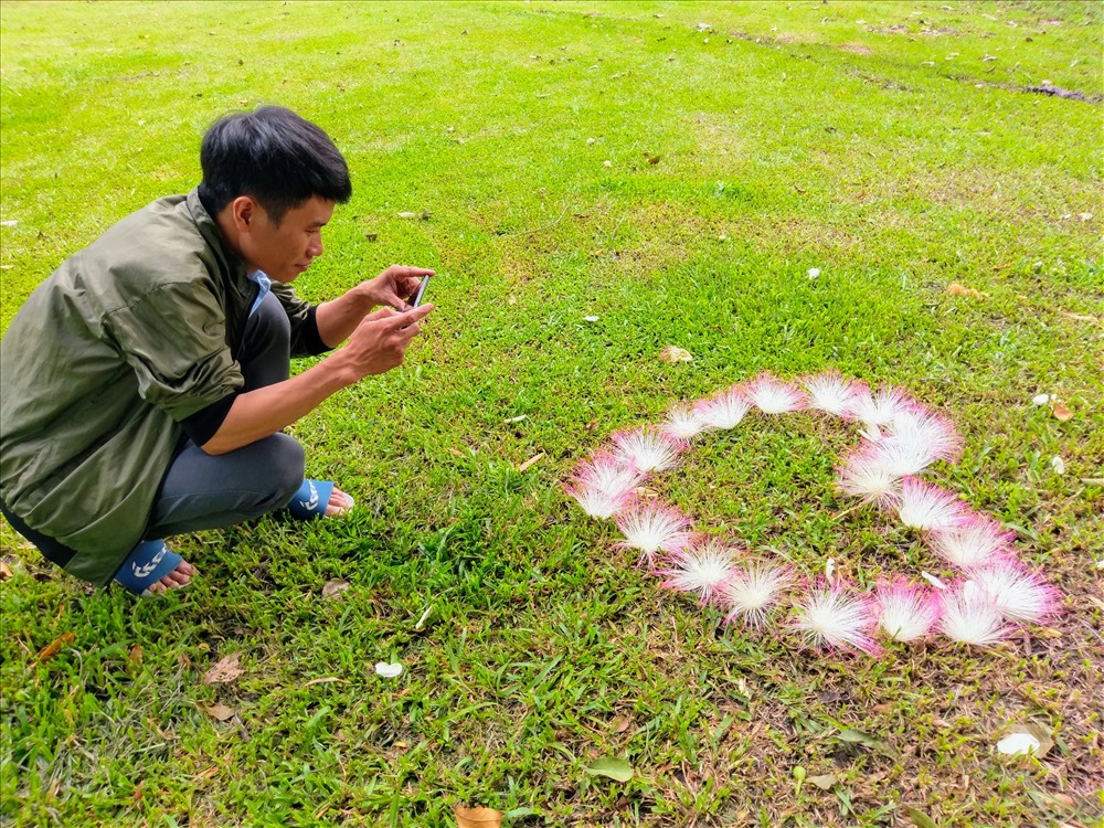 Anh Mai Văn Minh cho biết đây là lần đầu tiên anh thấy hoa bàng vuông. Mỗi bông đều to, nhìn rực rỡ nên rất thích nên anh Minh xếp chúng lại thành hình trái tim chụp ảnh làm kỷ niệm.