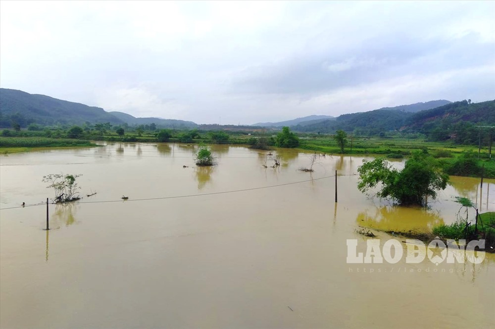 Mưa lớn kéo dài, nước từ thượng nguồn đổ về, cánh đồng xã Sơn Thọ (Vũ Quang - Hà Tĩnh) nước trắng bao phủ.