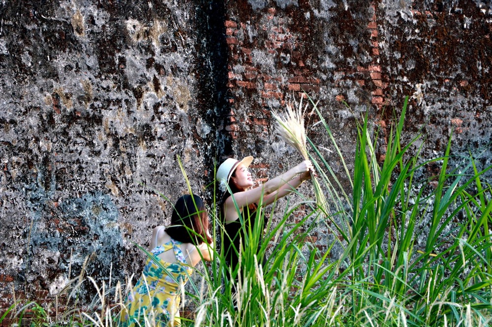 Bên tường thành cổ kính, những vạt cỏ lau trắng tinh khôi càng tôn lên vẻ đẹp cho thành quách Huế, ẩn hiện trong đó chút mơ hồ, chút lãng mạn, chút trầm tư…