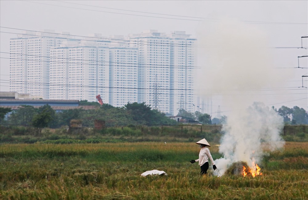 Để khắc phục tình trạng này, Hà Nội đang triển khai mô hình “Thành phố không đốt rơm rạ” với mục tiêu đến năm 2020, rơm rạ không còn bị đốt bỏ.