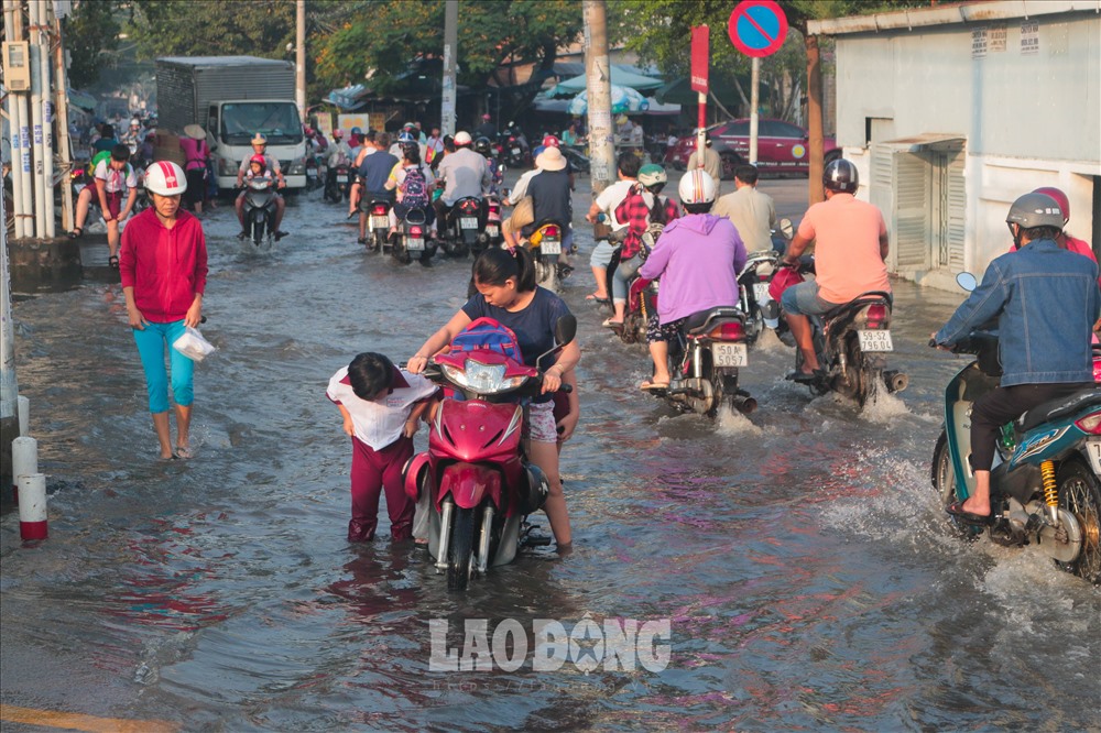 Ghi nhận tại Trường Tiểu học Bình Qưới (Quận Bình Thạnh, TP Hồ Chí Minh), nước ngập nửa bánh xe, nhiều phụ huynh chở con đi học phải dắt bộ do xe chết máy không thể đi được.