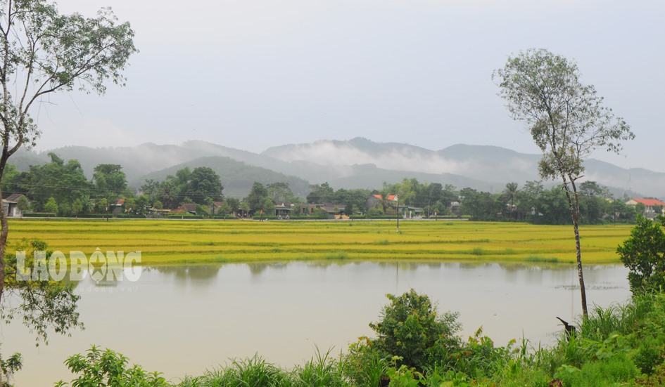 Ngày 6.9, phóng viên theo thuyền vào vùng rốn lũ, chứng kiến cánh đồng tại xã Hương Minh (Vũ Quang) nước vẫn ngập sâu.