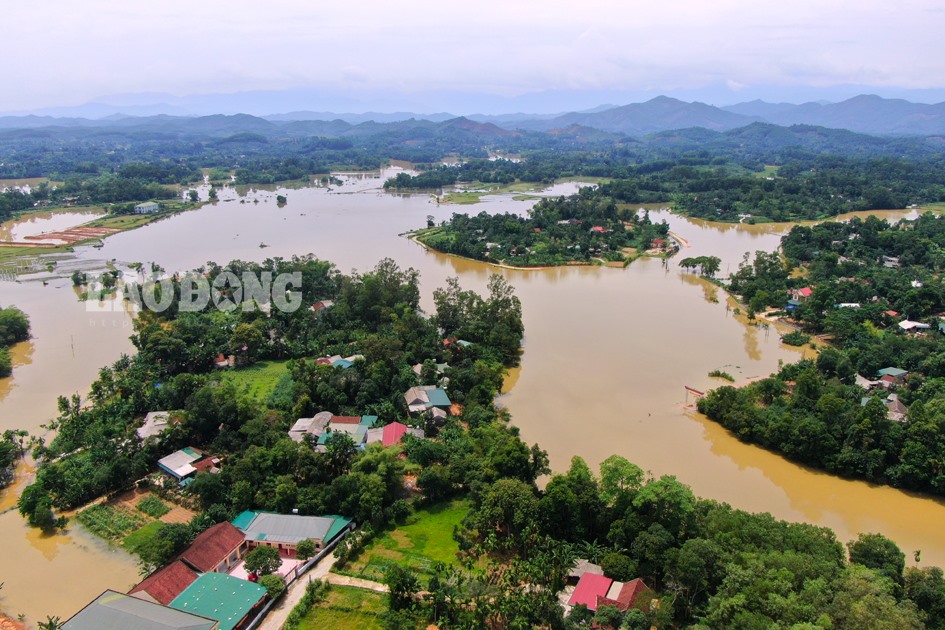 Cánh đồng lúa thuộc xã Sơn Phúc (Hương Sơn) chìm trong biển nước.