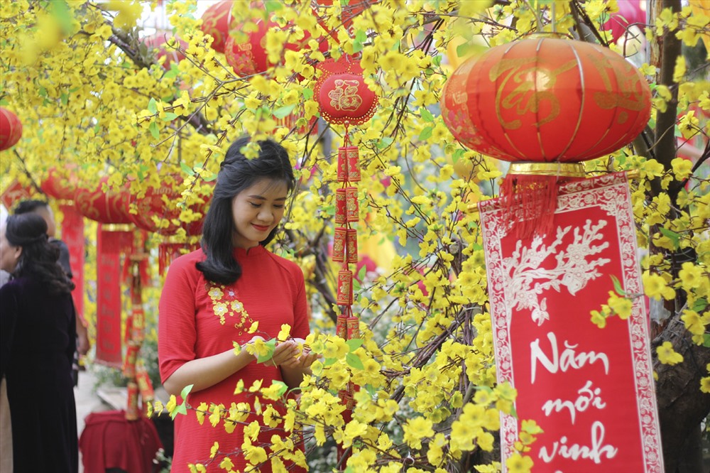 Tết Dương lịch, “hot girl” đổ xô đi chụp ảnh tại vườn hoa Nhật Tân