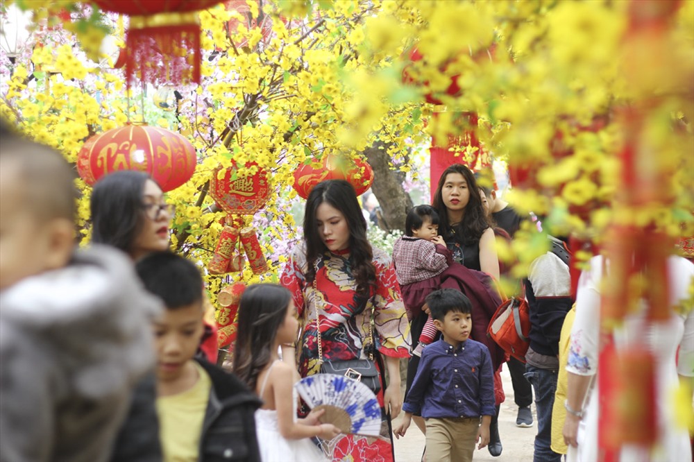 Rất nhiều gia đình, cặp tình nhân, bạn trẻ đã tới vườn hoa Nhật Tân chụp ảnh ngày đầu năm mới.