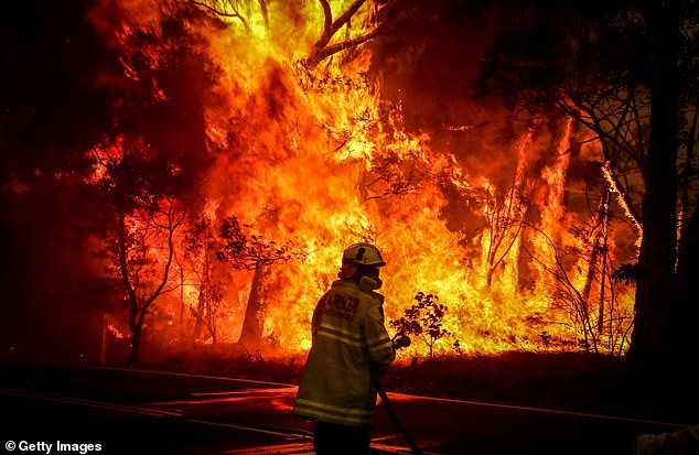Cháy rừng Australia gây thiệt hại nghiêm trọng ở bang New South Wales. Ảnh: Getty Images