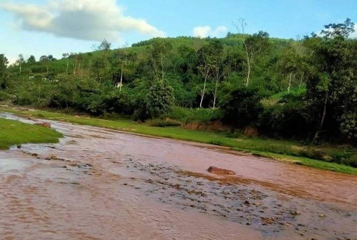 Dòng sông trong xanh bị đầu độc bởi hoạt động khai thác vàng. Ảnh: Hồ Lia.