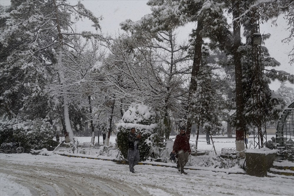 Người dân đi bộ dưới trời mưa tuyết ở Pakistan ngày 12.1.2020. Ảnh: AP