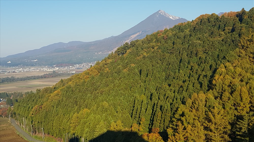 Màu xanh bất tận ngay bên ô cửa khách sạn giữa núi rừng ở Fukushima có thể khiến bất cứ ai cũng phải sống chậm lại và mở lòng thưởng lãm thiên nhiên. Ảnh: Lãng Quân.