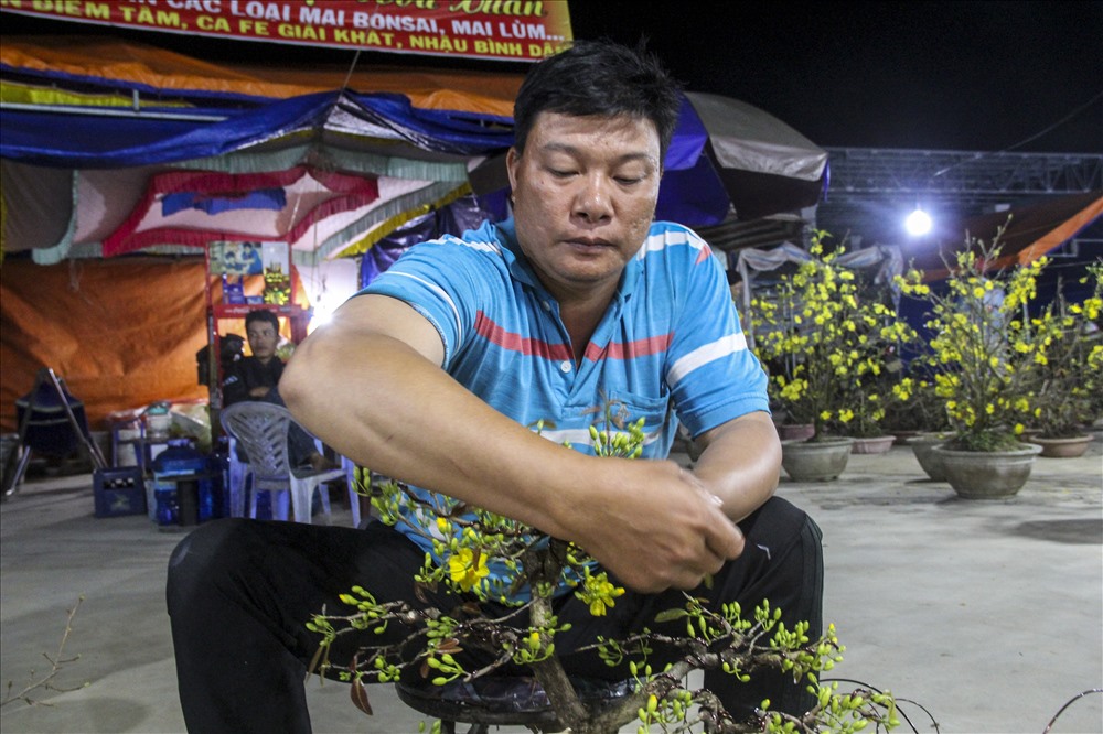 Theo anh Nguyễn Hồng Khương (38 tuổi, thị xã An Nhơn), hơn 1 tuần nay anh đã đưa mai ra dọc quốc lộ đã bán, đến thời điểm hiện tại anh đã bán được hơn 100 chậu với giá trung bình từ 500 ngàn đến 1 triệu đồng/chậu. Ảnh: N.T