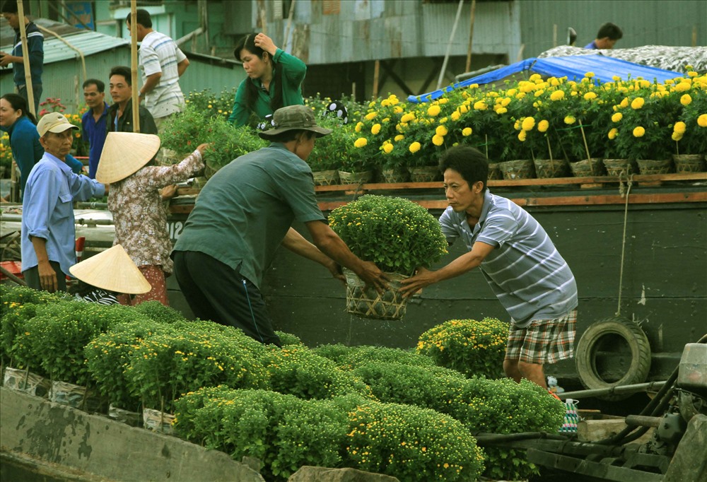 Không khí náo nhiệt vận chuyển hoa tết trên chợ nổi