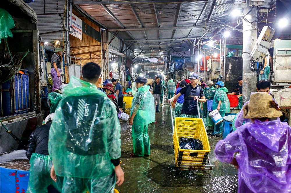 Hàng trăm tiểu thương từ các nơi cũng đến mua cá về bán lẻ tại các chợ nhỏ.