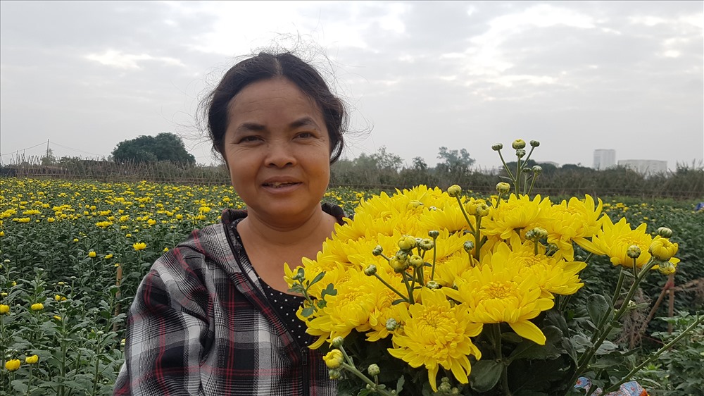 Chị Nguyễn Thị Bích (thôn Trung, Tây Tựu, na từ Liêm, Hà Nội) cho biết, do nguồn cung dồi dào, hoa tươi là mặt hàng ít tăng giá nhất trong Tết này. Ảnh: Kh.V