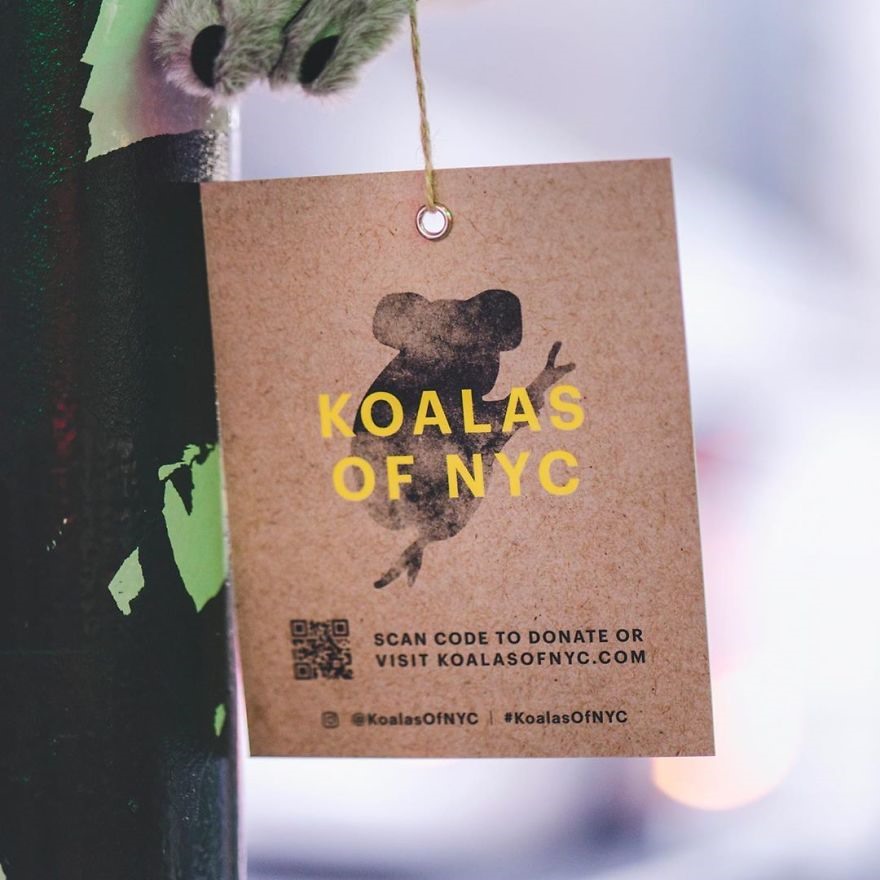 Mã QR gắn trên gấu bông Koala. Ảnh: koalasofnyc