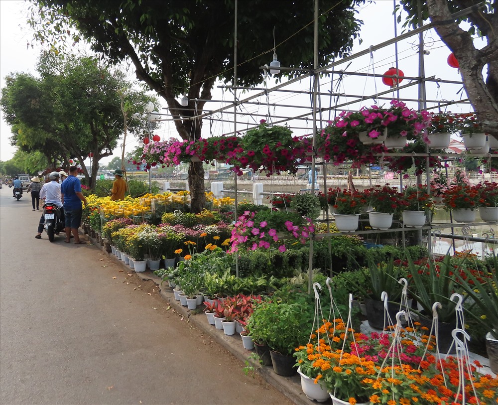Các chợ hoa ở Cần Thơ cũng nhộn nhịp không kém. Hàng chục loại hoa được bày bán, khiến phố phường thêm rực rỡ