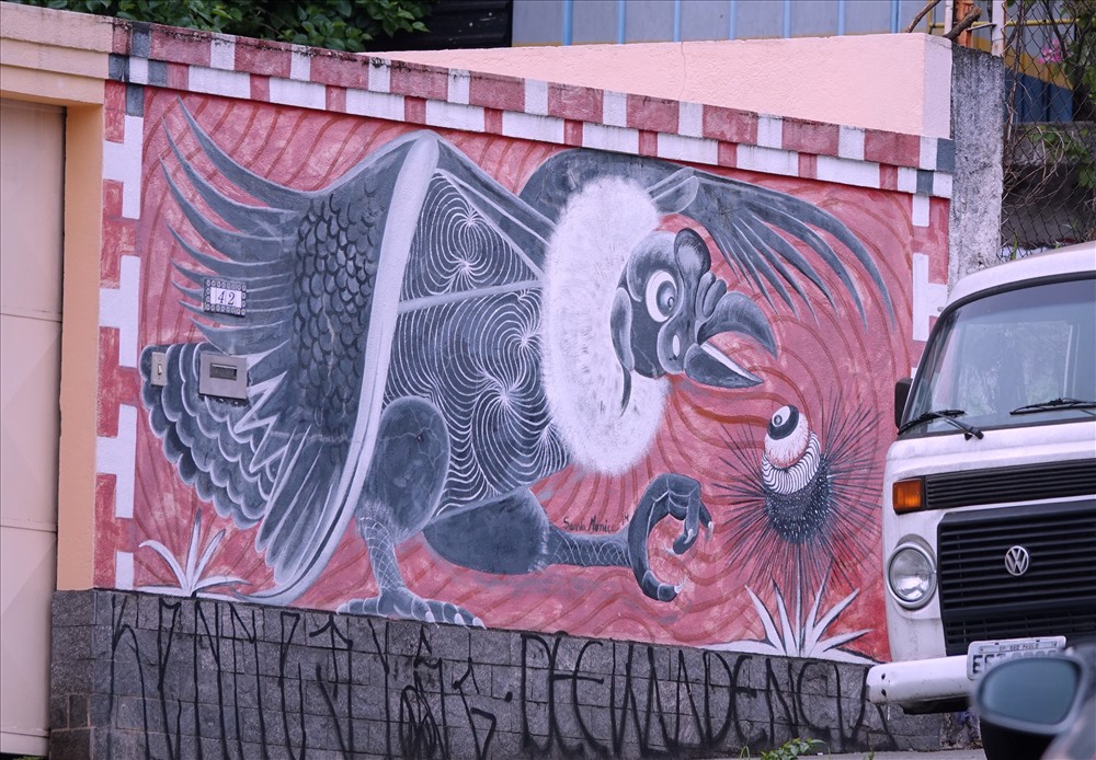 Các họa phẩm đường phố ở Brazil có thể khiến bạn sững sờ ngạc nhiên ở mọi góc nhìn. Ảnh: Lãng Quân