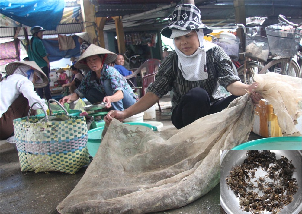 Mùa Rạm ngon nhất là vào tháng Năm âm lịch. Ảnh: LM