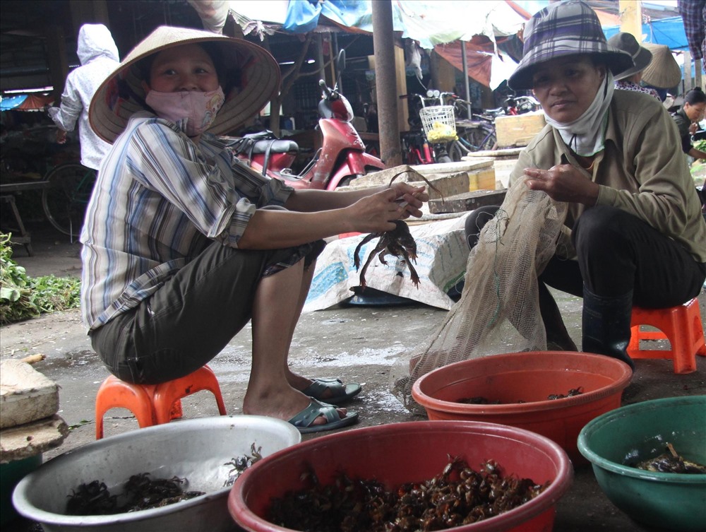 Cáy hôi được bán nhiều ở Hải Phòng, Thái Bình, Hải Dương... Ảnh: LM