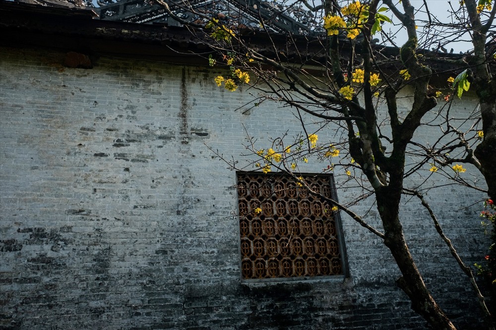 Hoàng mai bên hông Điện Thái Hòa
