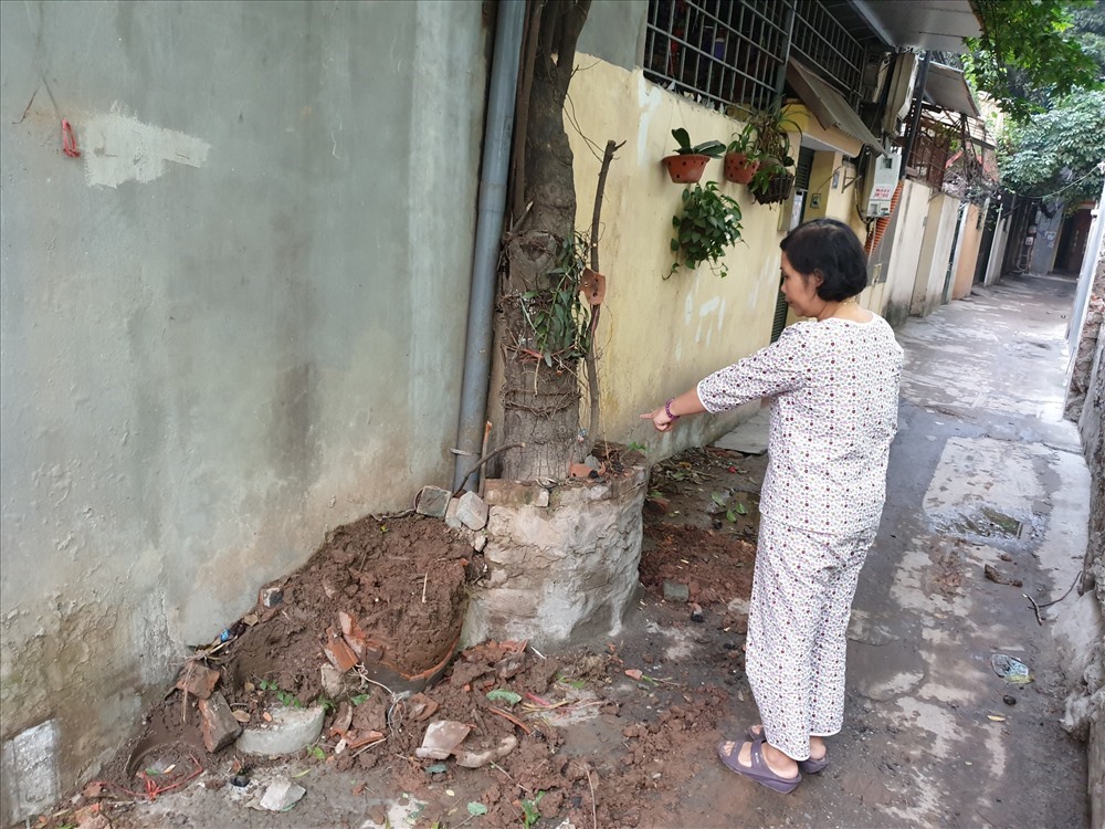 Hiện trường hàng cây của gia đình ông Trường, bà Mong bị đập bỏ vỡ nát. Ảnh: Tùng Giang.