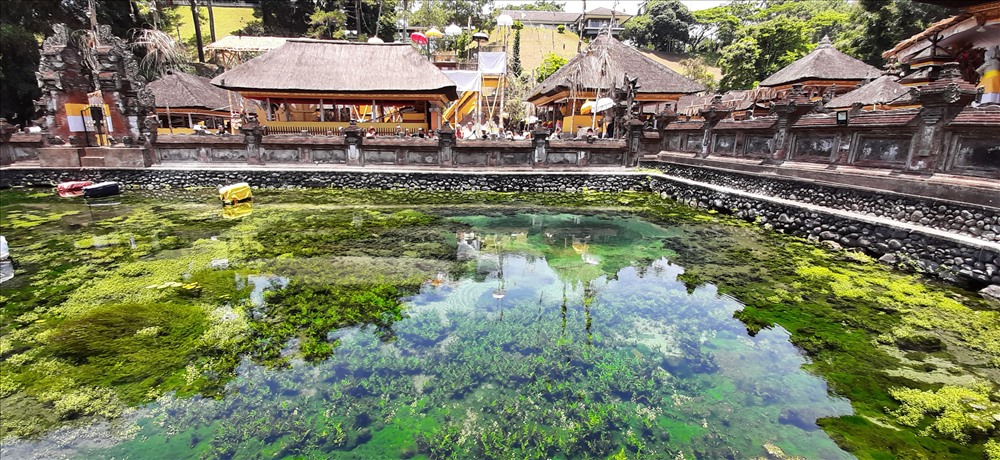 Hồ nước xanh kỳ lạ, phủ kín rong rêu, do các trầm tích khoáng chất quý được người đảo Bali phát hiện và “ứng dụng” từ thượng cổ. Ảnh: Lãng Quân.