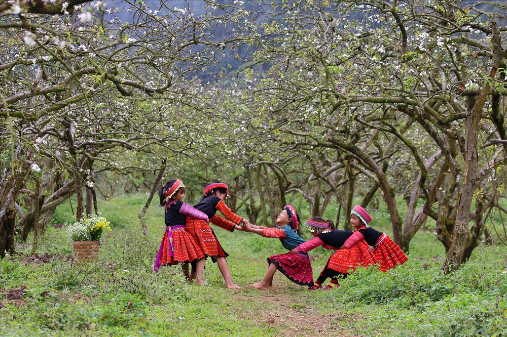 Trong kéo co đôi khi “đông” chưa hẳn là sẽ thắng