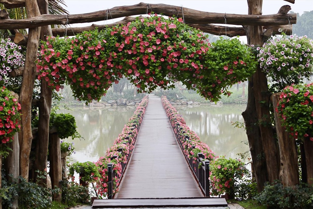Con đường hoa lãng mạn trên mặt hồ nước thơ mộng.