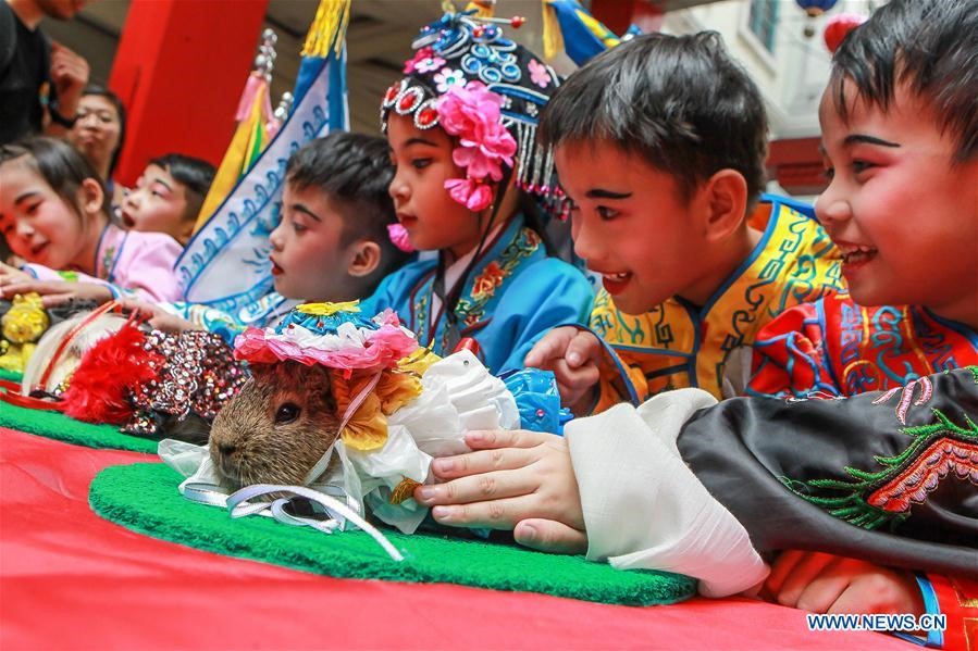 Trẻ em trong trang phục cổ trang Trung Quốc đang chơi với các chú chuột lang trong buổi lễ chào mừng Tết Nguyên Đán tại khu phố Tàu ở Manila, Philippines. Ảnh: Xinhua