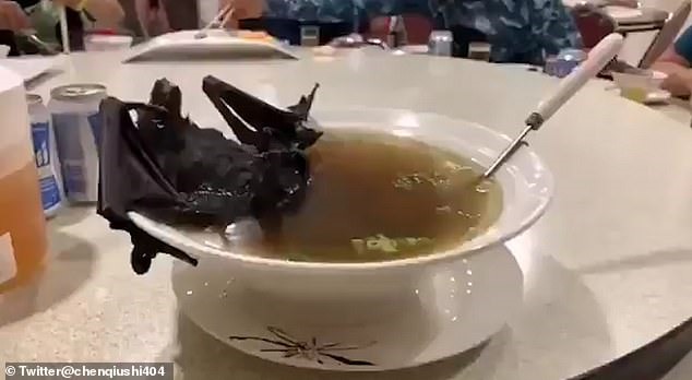 Súp dơi và hình ảnh người phụ nữ ăn dơi đang gây xôn xao trên mạng xã hội Trung Quốc. Ảnh: Mail.