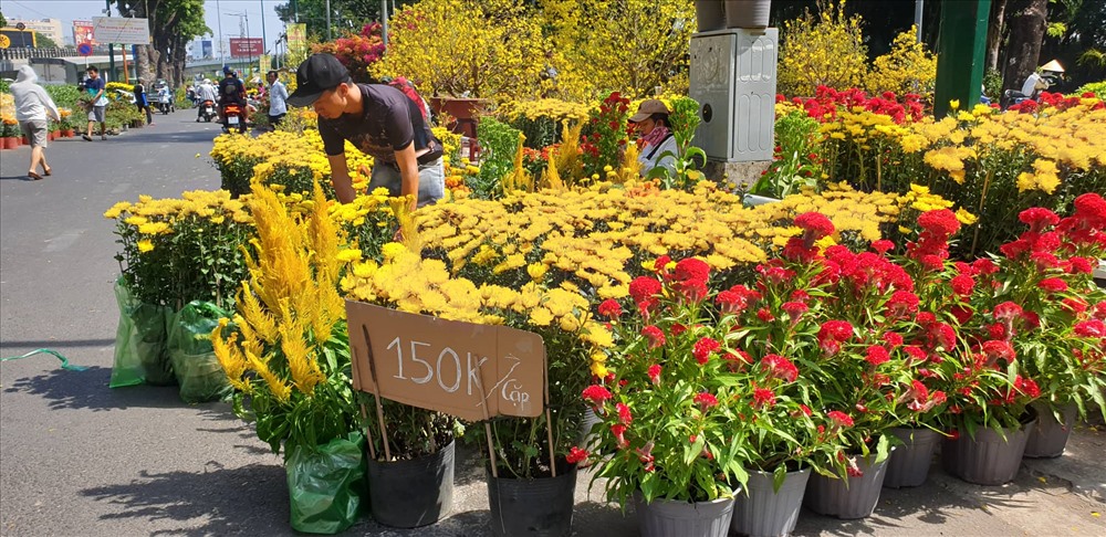 Trong khi đó, giá hoa cúc có hạ nhiệt nhưng không xuống quá thấp, từ 100-150k/cặp
