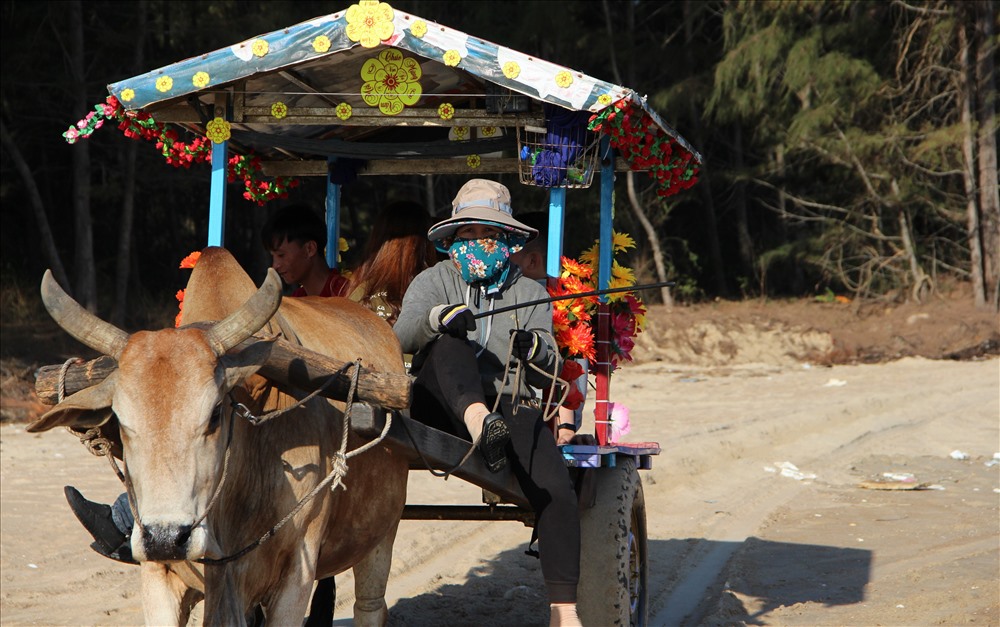 Xe bò du lịch Bình Thuận: Bức ảnh này sẽ đưa bạn đến một hành trình khám phá Bình Thuận bằng xe bò đầy màu sắc và đặc trưng. Bạn sẽ được trải nghiệm không khí trong lành, thiên nhiên tươi đẹp của vùng đất này.