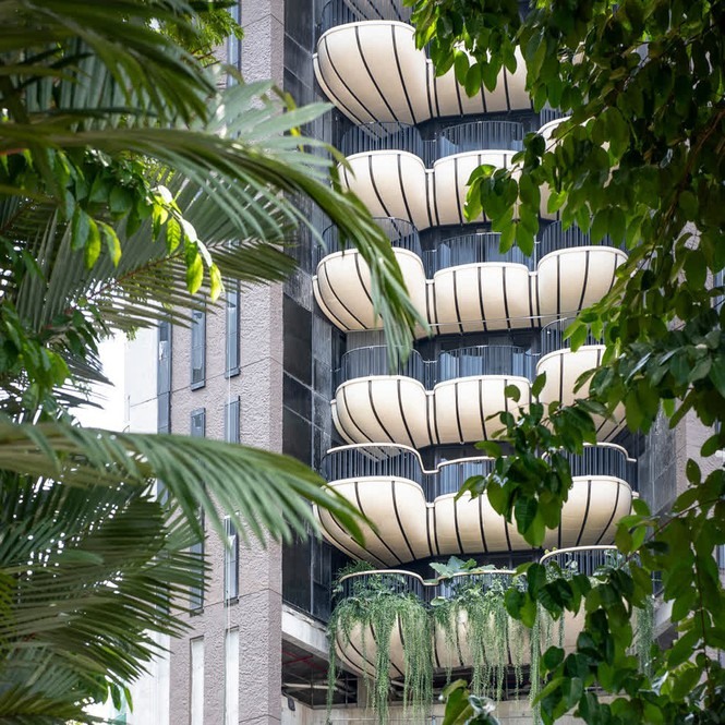 Dự án khu dân cư đầu tiên của Heatherwick Studio ở châu Á có tên là EDEN, chuẩn bị hoàn thành tại khu phố Orchard Road của Singapore. Tòa tháp bê tông cao 20 tầng gồm 20 căn hộ cao cấp phía trước có ban công cong đầy vườn treo. Ảnh: Dezeen