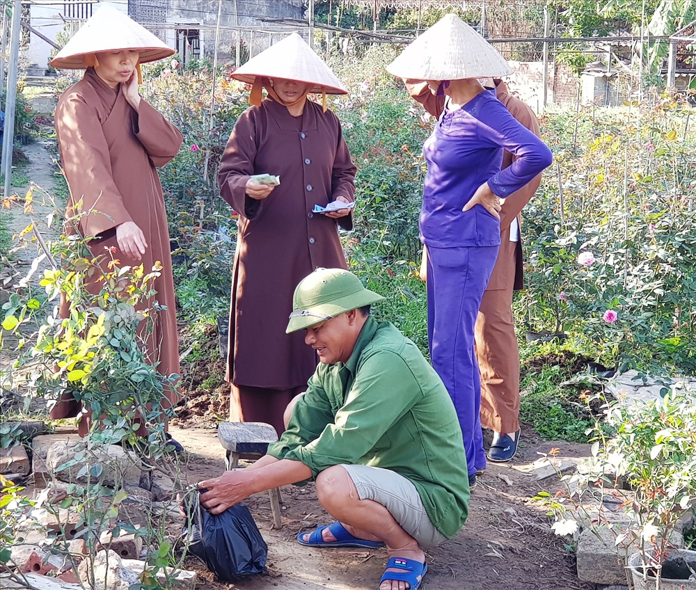 Người trồng hoa ở đây cho biết, năm nay thời tiết thuận lợi, hoa được mùa nên giá cũng không cao lắm. Ảnh: NT