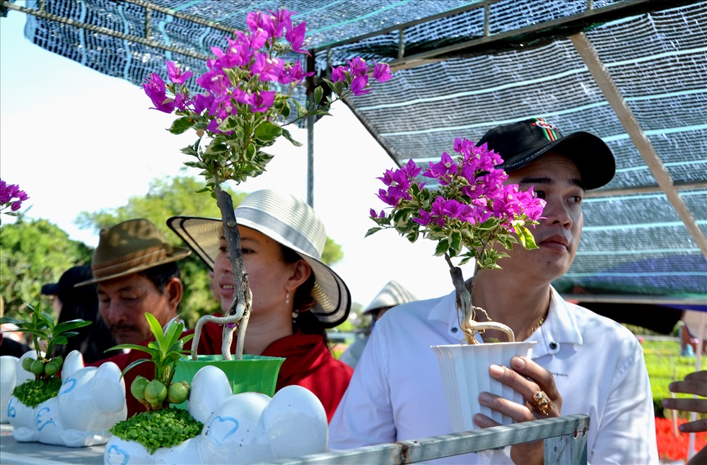 Công khai giá trên mỗi chậu. Ảnh: LT