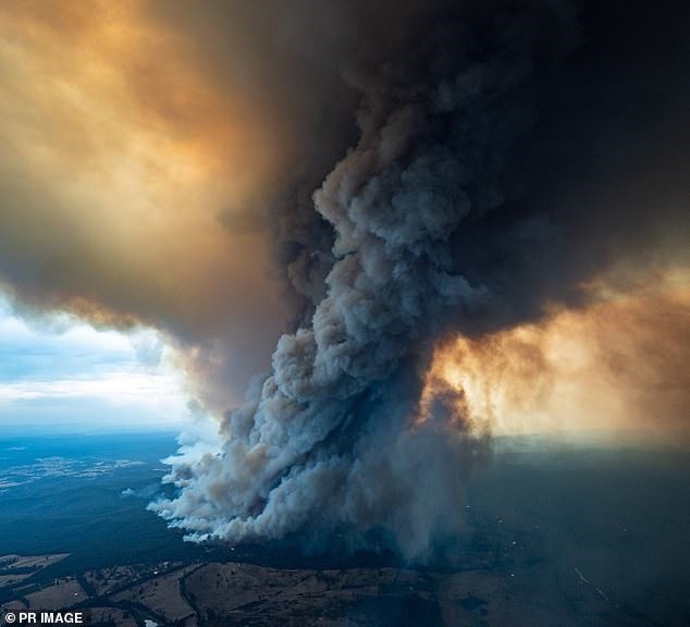 Cột khói từ đám cháy rừng ở Đông Gippsland, bang Victoria. Ảnh: Mail.