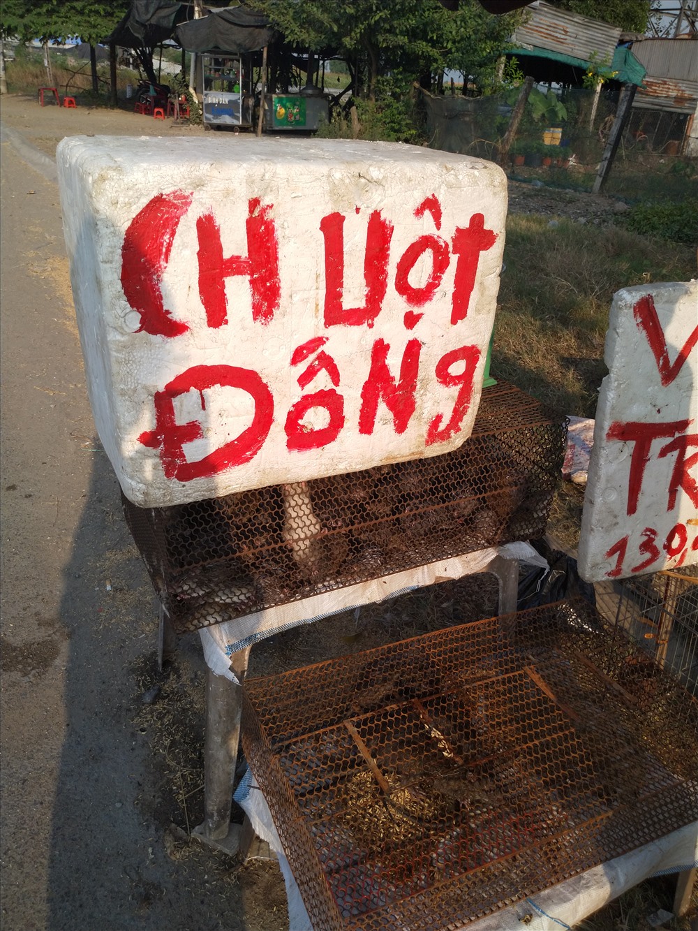 Chỉ trên một đoạn đường ngắn QL1 qua huyện Thủ Thừa, tỉnh Long An có hàng chục điểm bán chuột đồng. Ảnh: K.Q