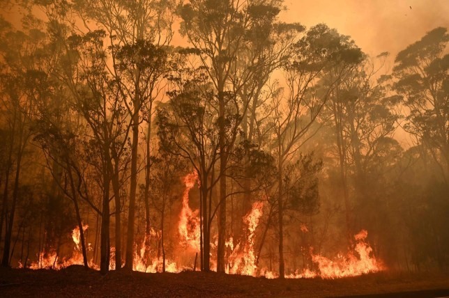 Hãy xem hình ảnh về cháy rừng tại Australia để cảm nhận sức mạnh và lòng đoàn kết của con người trong cuộc đối đầu với thiên tai. Những cảnh tượng đầy nghẹt thở và kinh ngạc sẽ khiến bạn không thể rời mắt.