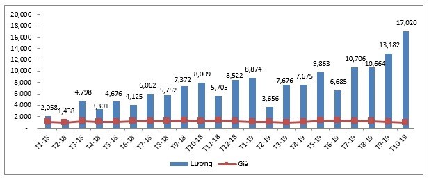 Biểu đồ nhập khẩu thịt lợn của Việt Nam qua các tháng trong năm 2019. ĐVT: Lượng: tấn; Giá NKBQ: USD/tấn