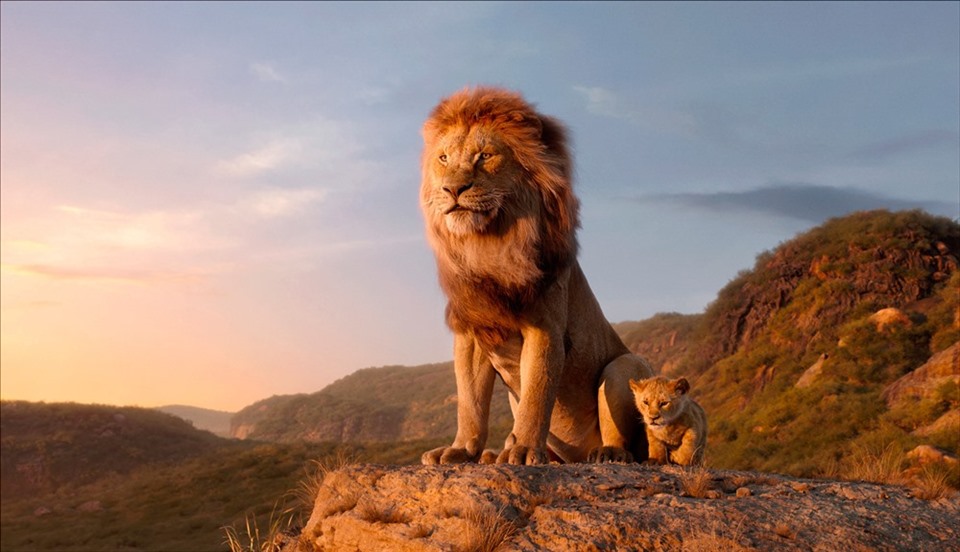 Ảnh minh họa phim “Vua sư tử”