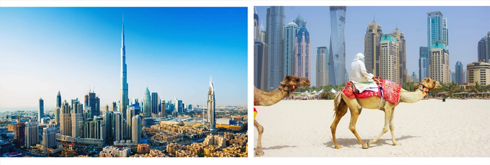UAE chính là “thiên đường thuế” của thế giới (Đồ họa: TT)