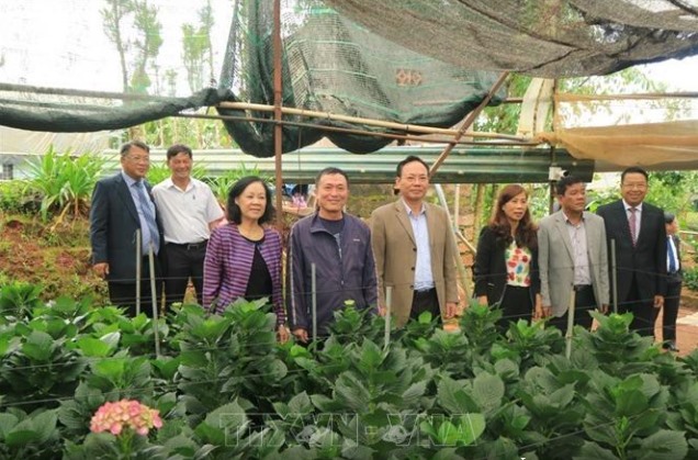 Trưởng Ban Dân vận Trung ương Trương Thị Mai cùng các đại biểu thăm mô hình sản xuất hoa công nghệ cao tại thôn Đa Quý, xã Xuân Thọ, TP Đà Lạt. Ảnh TTXVN