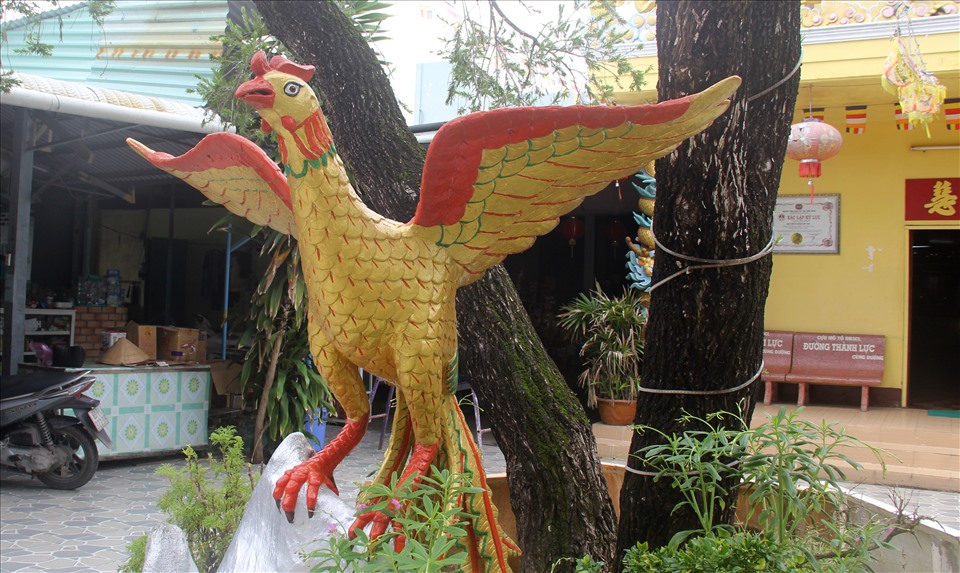 Ông Ngô Kim Tòng là con của ông Ngô Kim Đính. Lúc nhỏ, ông đã ăn chay trường và rất say mê nặng tượng. Năm 18 tuổi, ông nghỉ học, ở nhà làm rẫy phụ giúp gia đình, nghiên cứu kinh phật và từng bước tu học. Hằng ngày vào mỗi buổi sáng, ông ra ruộng đào đất sét để xách về đắp tượng.