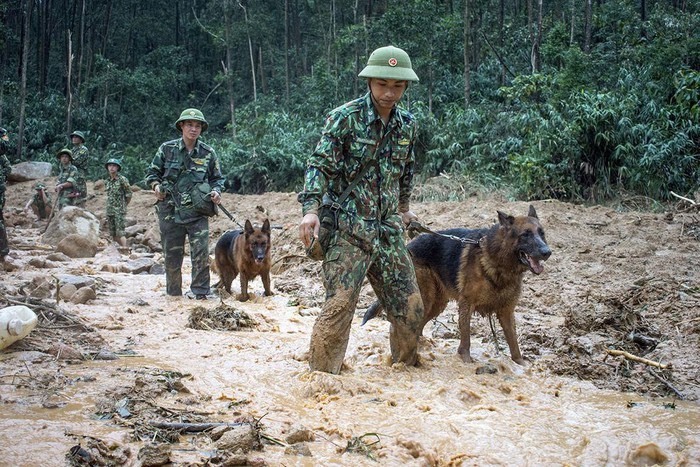 Chó nghiệp vụ tìm kiếm những người mất liên lạc tại khu Tiểu khu 67, Trạm kiểm lâm Sông Bồ đã bị sạt lở khiến 13 cán bộ, chiến sĩ mất liên lạc. Ảnh: Bộ Đội Biên Phòng.