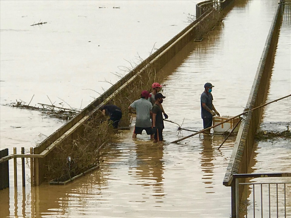 Sáng 15.10, lũ trên sông Hương bắt đầu rút và các nhân viên của Công ty Cây xanh Huế bắt đầu ra quân dọn rác trên cầu đi bộ bằng gỗ lim. Ảnh: Tường Minh