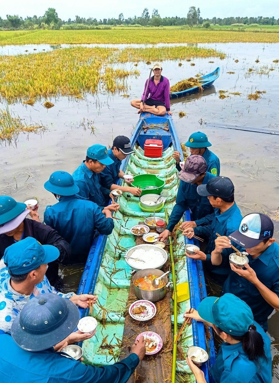 Lực lượng dân quân tự vệ ăn cơm trên đồng để kịp thời giúp dân thu hoạch lúa bị ngập sâu trong nước (ảnh Nguyễn Phú)