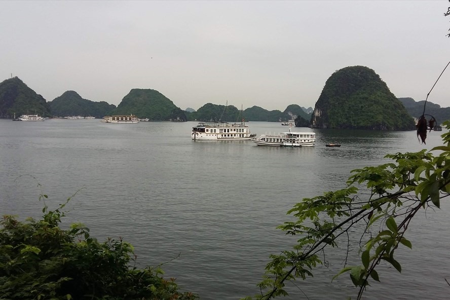 Vịnh Hạ Long, Quảng Ninh là địa điểm hấp dẫn nhiều du khách. Ảnh: LĐ